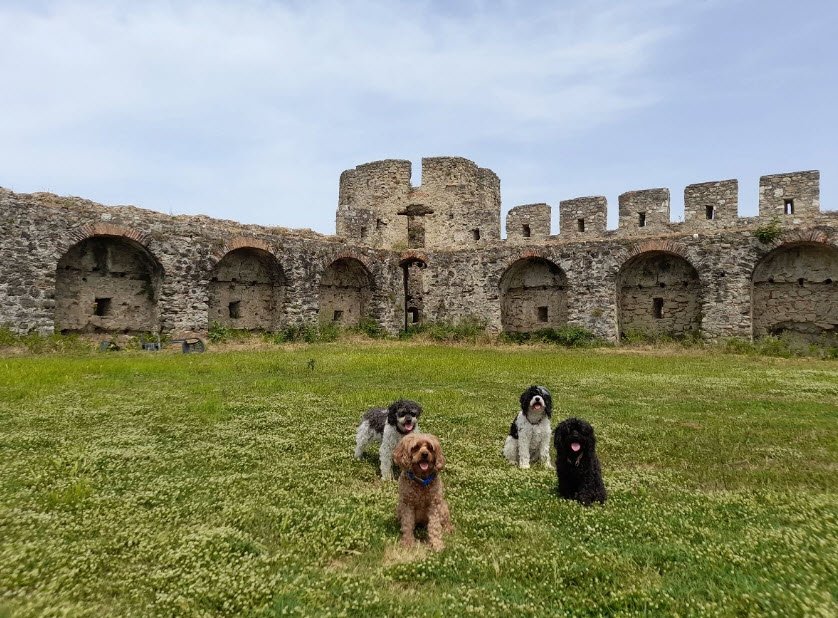 Fortress of Bashtovë, , Albania